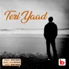 About Teri Yaad Song